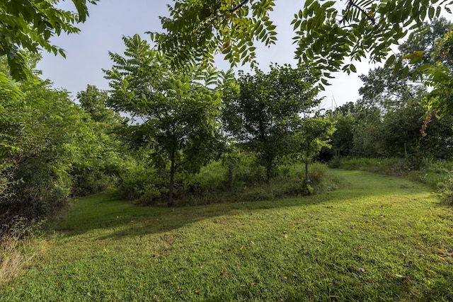235 Peaceful Pt, Ozark, MO 65721 - photo 47