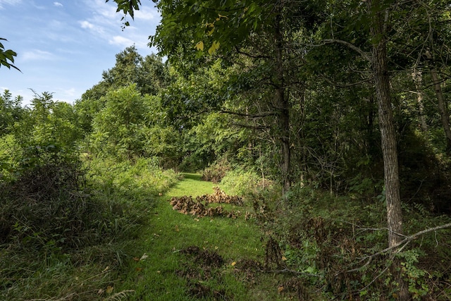 235 Peaceful Pt, Ozark, MO 65721 - photo 44