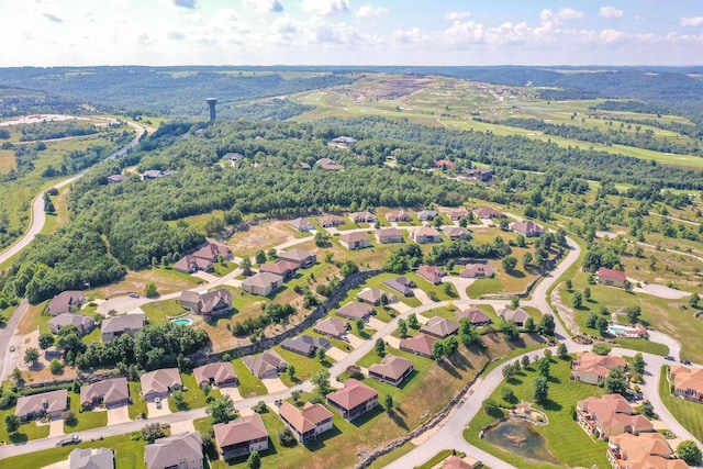 185 Stoney Pointe Dr, Hollister, MO 65672 - photo 36