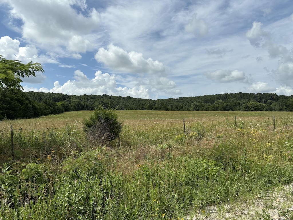 TBD Hargus Rd, Seymour, MO 65746 - photo 1