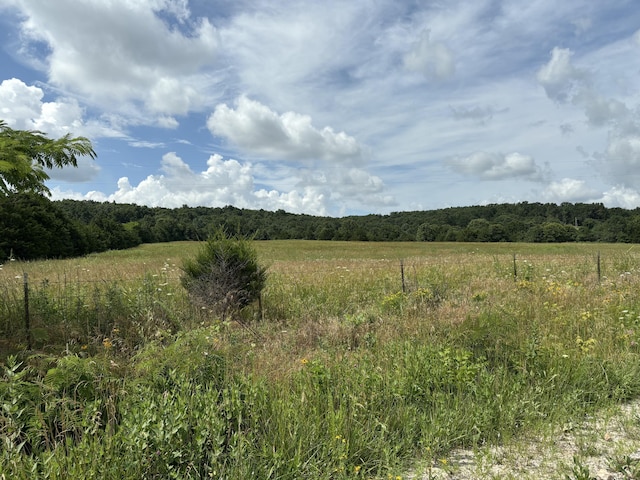 TBD Hargus Rd, Seymour, MO 65746 - photo 1
