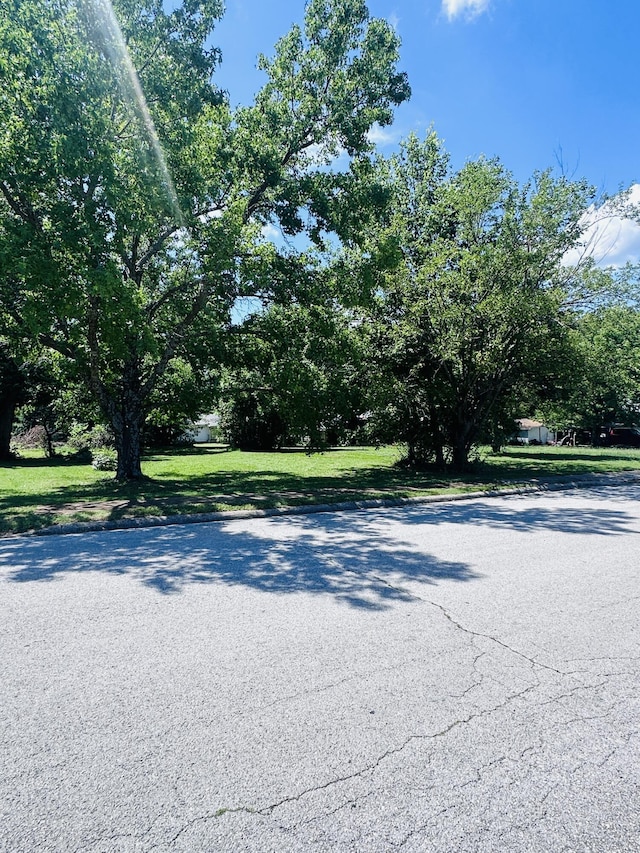 307 S High St, Stockton, MO 65785 - photo 5