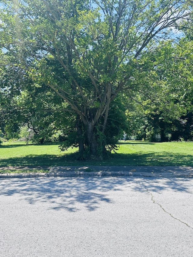 307 S High St, Stockton, MO 65785 - photo 6