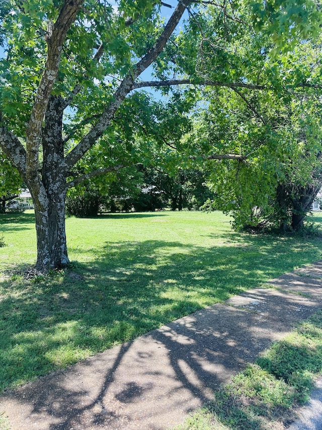 307 S High St, Stockton, MO 65785 - photo 3