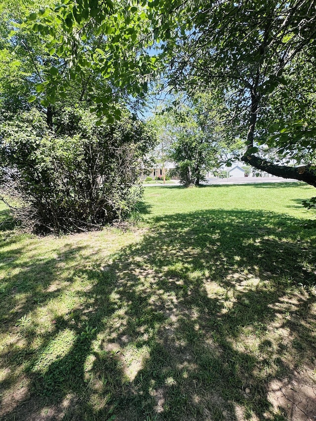 307 S High St, Stockton, MO 65785 - photo 4
