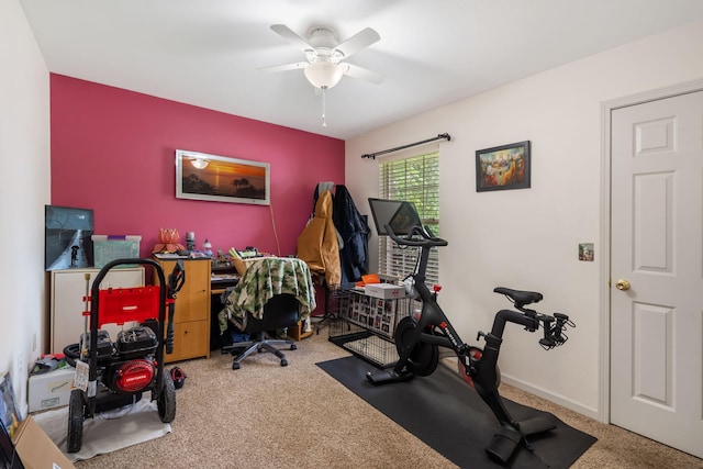 608 W Dover St, Nixa, MO 65714 - photo 23