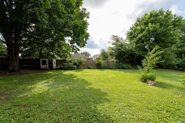 1119 S Cedarbrook Ave, Springfield, MO 65804 - view of yard