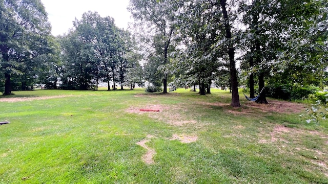 4 Remington Dr, Monett, MO 65708 - photo 5