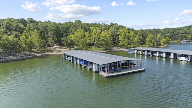 1237 Little Aunts Creek Rd, Kimberling City, MO 65686 - photo 62