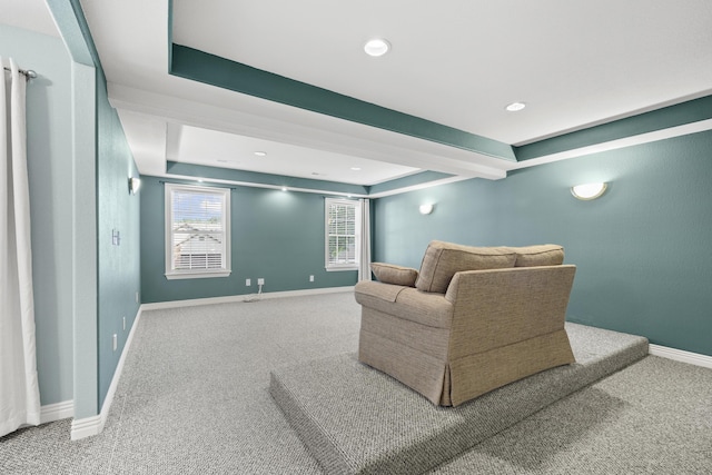 1237 Little Aunts Creek Rd, Kimberling City, MO 65686 - photo 45