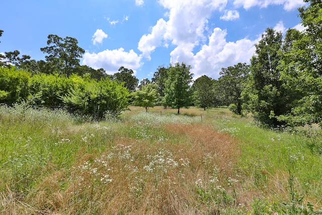 628 State Road F, Elkland, MO 65644 - photo 37