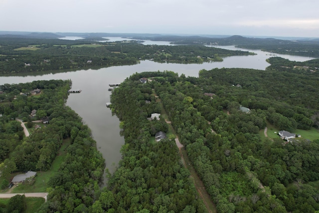 119 Allison Bnd, Lampe, MO 65681 - bird's eye view of a nearby body of water