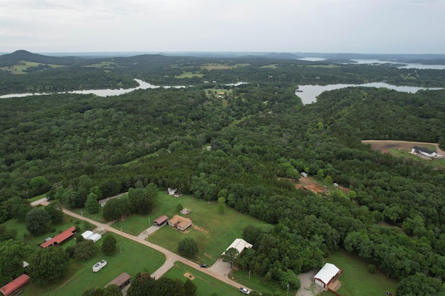 119 Allison Bnd, Lampe, MO 65681 - aerial view of property's location with a forest and a nearby body of water