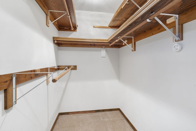 4059 E Linwood St, Springfield, MO 65809 - walk in closet featuring carpet floors
