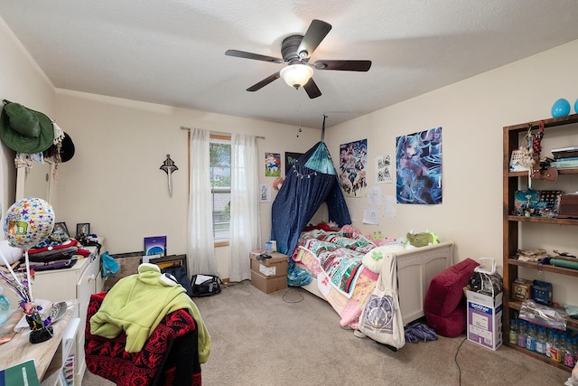 1191-1197 W Hall, Ozark, MO 65721 - photo 66