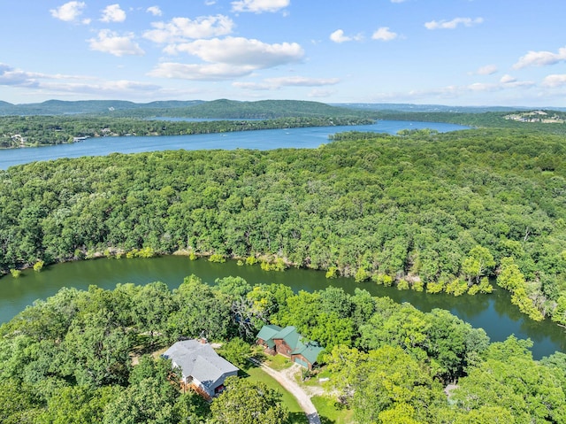 220 Montauk Ln, Shell Knob, MO 65747 - photo 54