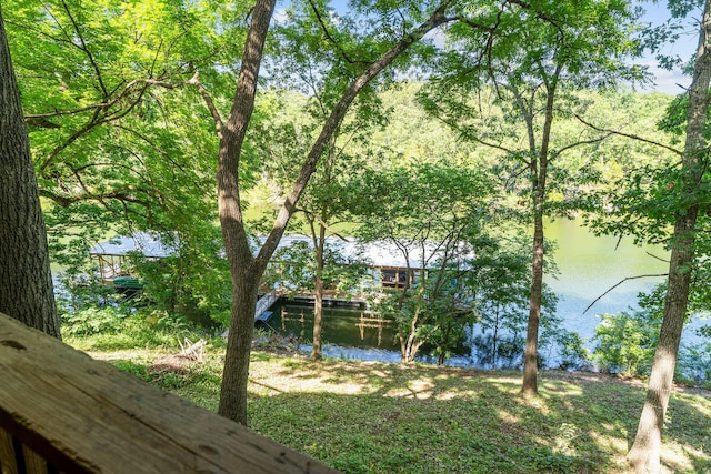 220 Montauk Ln, Shell Knob, MO 65747 - photo 39