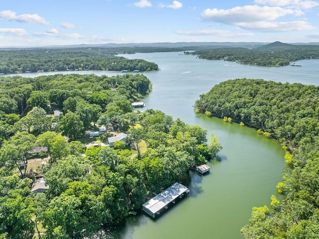 220 Montauk Ln, Shell Knob, MO 65747 - photo 56