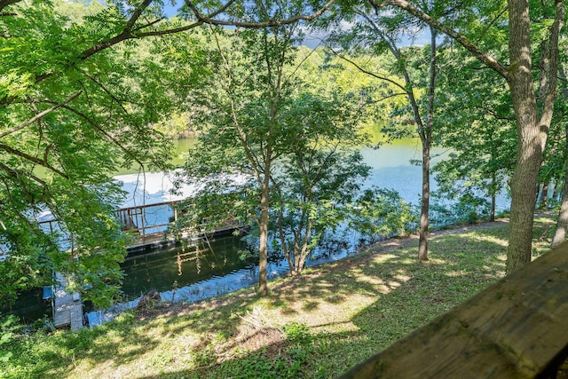220 Montauk Ln, Shell Knob, MO 65747 - photo 43