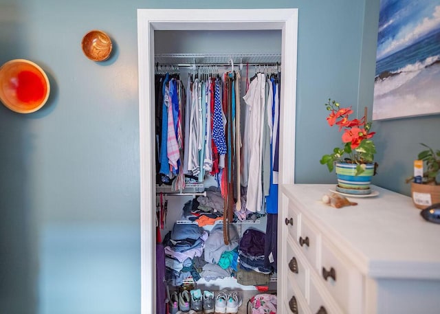 1050 S Glenn Ave, Springfield, MO 65802 - view of closet