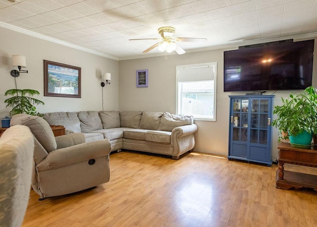 1050 S Glenn Ave, Springfield, MO 65802 - living area featuring ornamental molding, ceiling fan, and light wood-type flooring