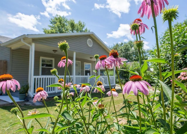 1050 S Glenn Ave, Springfield, MO 65802 - view of front of house with a porch