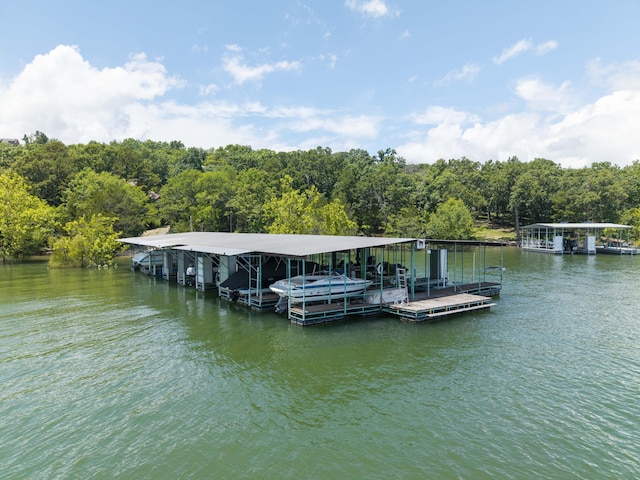 317 Parkview Dr, Blue Eye, MO 65611 - photo 88