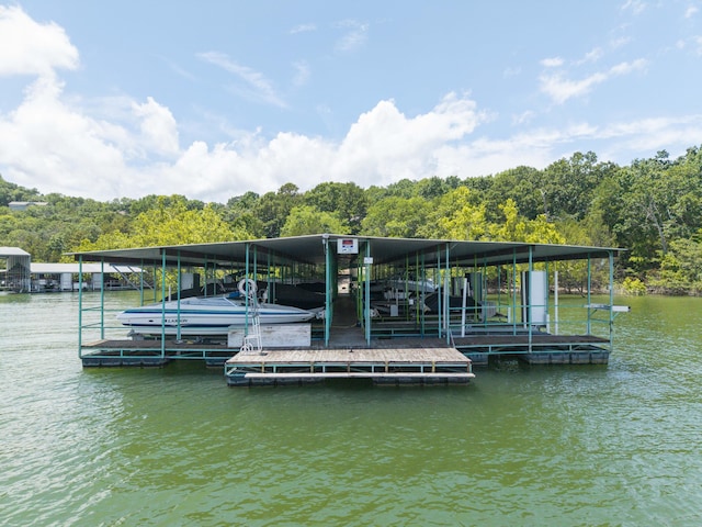 317 Parkview Dr, Blue Eye, MO 65611 - photo 95