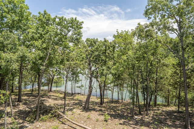 317 Parkview Dr, Blue Eye, MO 65611 - photo 64