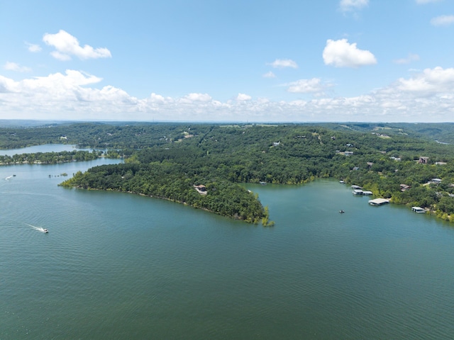 317 Parkview Dr, Blue Eye, MO 65611 - photo 91