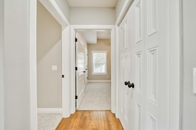 317 Parkview Dr, Blue Eye, MO 65611 - photo 52