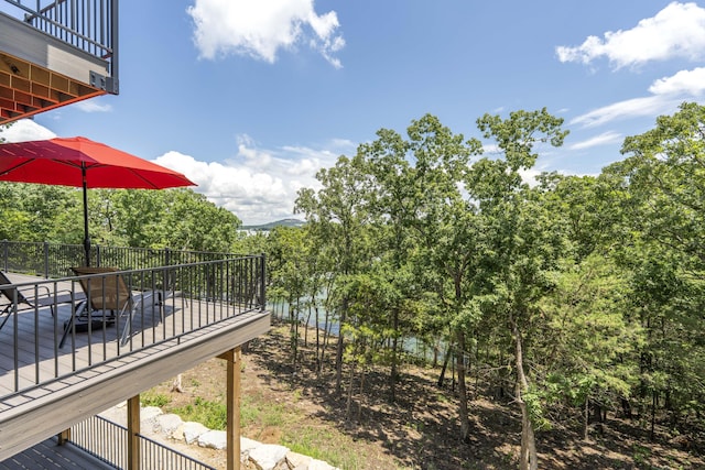 317 Parkview Dr, Blue Eye, MO 65611 - photo 5
