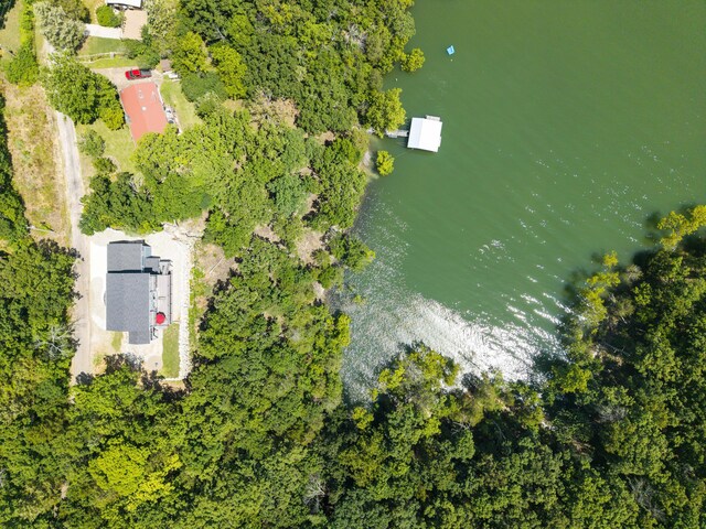 317 Parkview Dr, Blue Eye, MO 65611 - photo 86