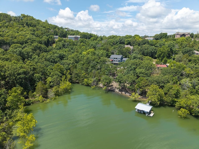 317 Parkview Dr, Blue Eye, MO 65611 - photo 84