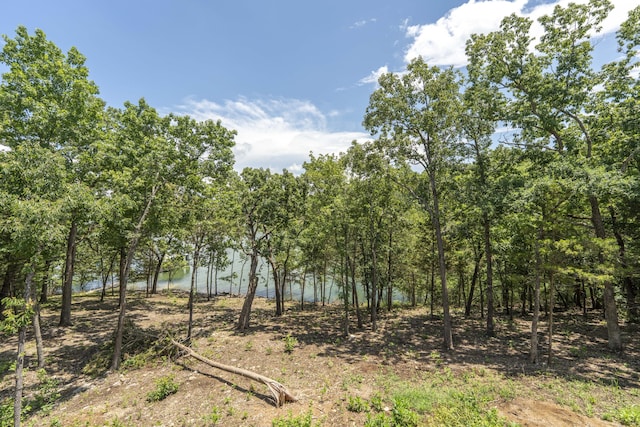 317 Parkview Dr, Blue Eye, MO 65611 - photo 63