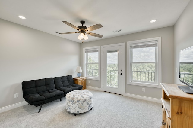 317 Parkview Dr, Blue Eye, MO 65611 - photo 38