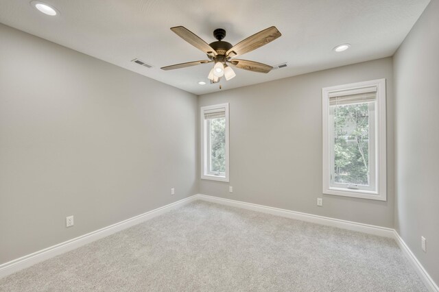 317 Parkview Dr, Blue Eye, MO 65611 - photo 37