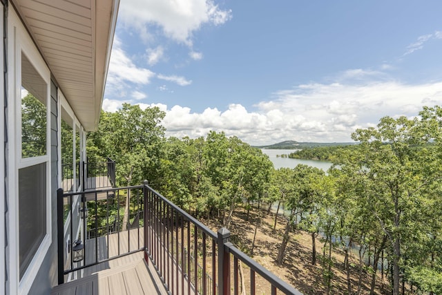 317 Parkview Dr, Blue Eye, MO 65611 - photo 36