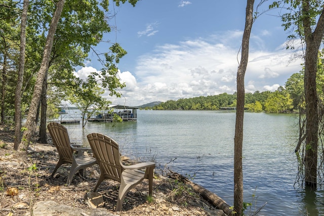 317 Parkview Dr, Blue Eye, MO 65611 - photo 3