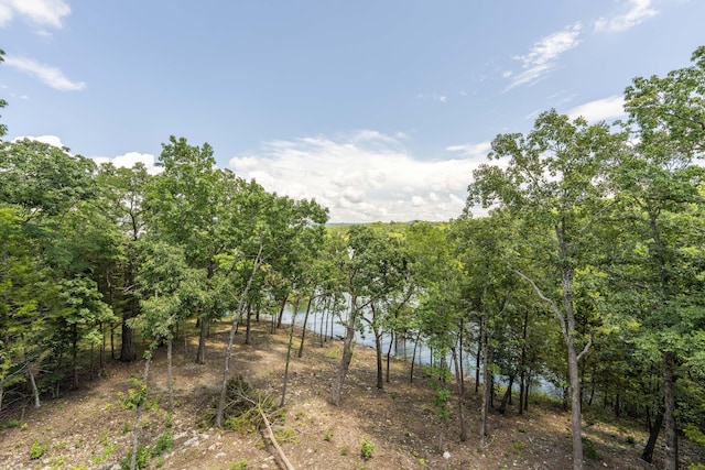 317 Parkview Dr, Blue Eye, MO 65611 - photo 79