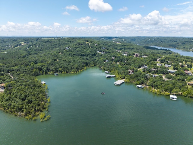 317 Parkview Dr, Blue Eye, MO 65611 - photo 92