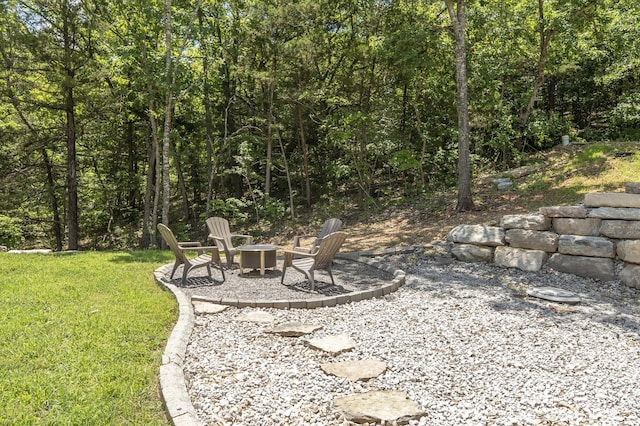 317 Parkview Dr, Blue Eye, MO 65611 - photo 66