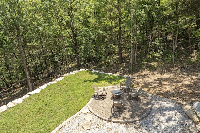317 Parkview Dr, Blue Eye, MO 65611 - photo 81