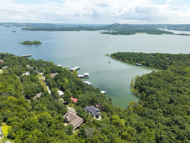 317 Parkview Dr, Blue Eye, MO 65611 - photo 83