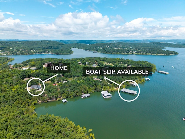 317 Parkview Dr, Blue Eye, MO 65611 - photo 82