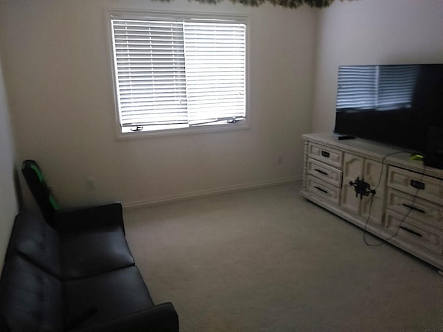 840 Troy Ave, Monett, MO 65708 - photo 24