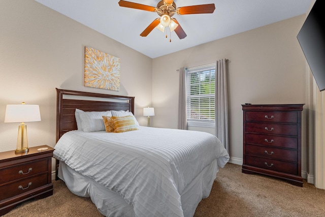 128 Mulligan Ct, Branson, MO 65616 - bedroom with carpet floors and a ceiling fan