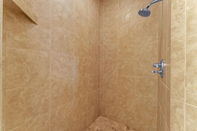 128 Mulligan Ct, Branson, MO 65616 - bathroom featuring tiled shower