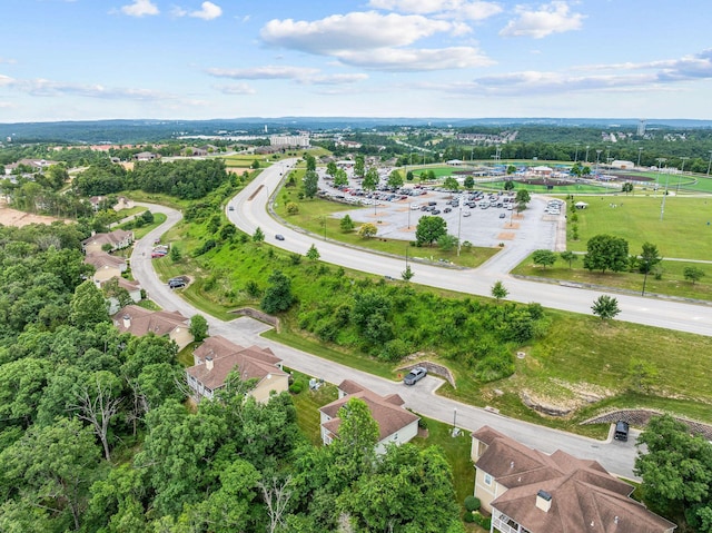 128 Mulligan Ct, Branson, MO 65616 - aerial view of property and surrounding area
