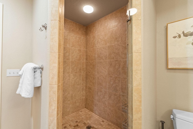 128 Mulligan Ct, Branson, MO 65616 - full bath with tiled shower and toilet